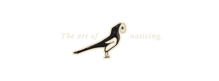 Illustration of a black and white bird with a starburst eye between the words 'The art of' and 'noticing.'